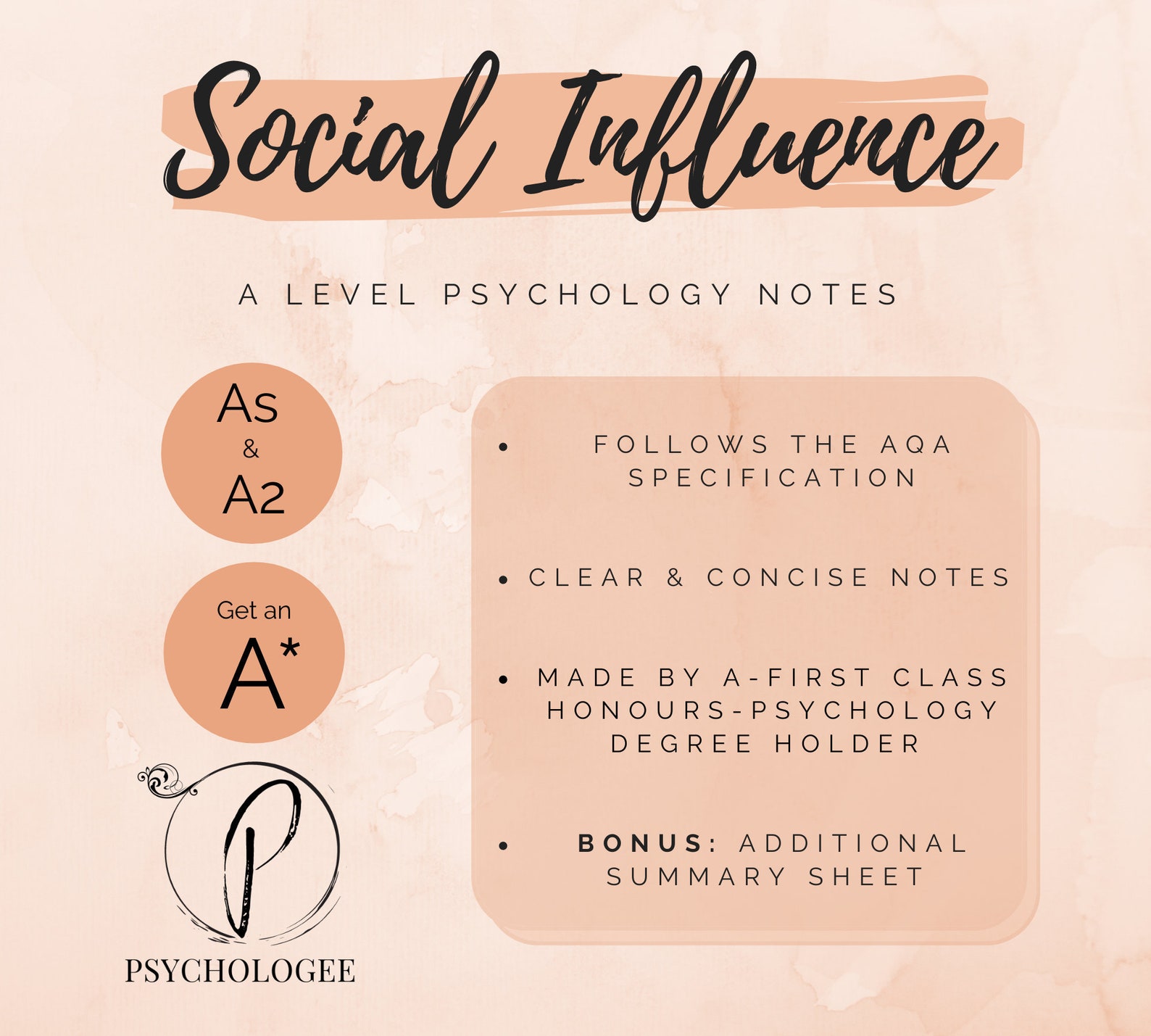 psychology essay plans social influence