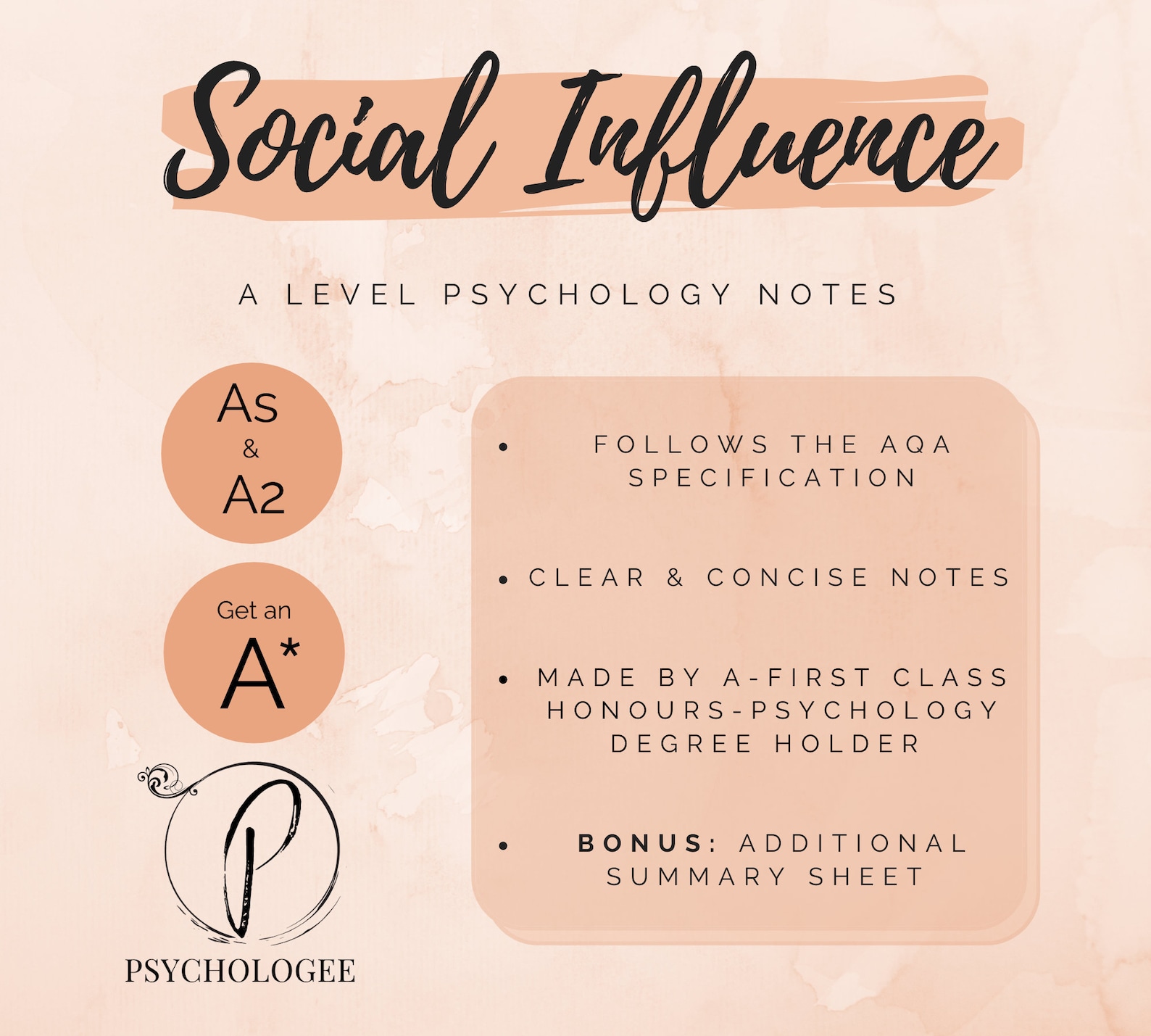 psychology essay plans social influence