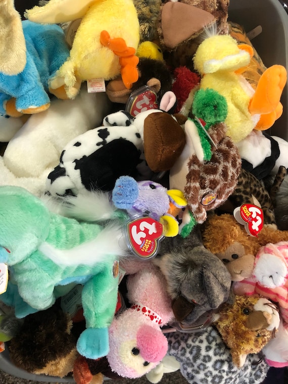 Ty Beanie Babies Surprise Packages. New Options for All Birds or