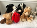 Ty Beanie Buddies Choice of Dogs and Cats