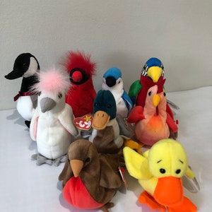 Ty Beanie Baby choice of Bird group 1 Loosy, Mac, Rocket, Jabber, KuKu, Jake, Strut, Early, Quakers