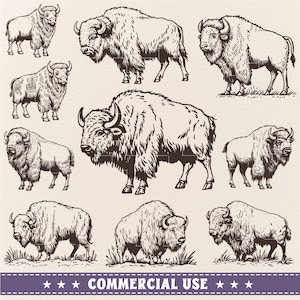 bison bundle svg png bundle, Buffalo Svg, American Bison svg, Animal svg Bundle, Commercial Use