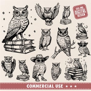 Hibou Svg Png BUNDLE, clipart hibou, hibou vintage hibou, hibou dessiné à la main, hibou effraie des cloches, Svg harfang des neiges, hibou svg, croquis de hibou, usage commercial