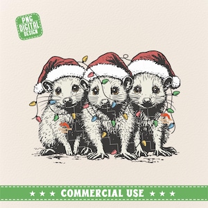 Possum mignon avec des lumières de Noël, Possum de Noël Png, Joyeux Noël Png, Saison de Noël Png, Noël drôle Png, Possum lumières Png