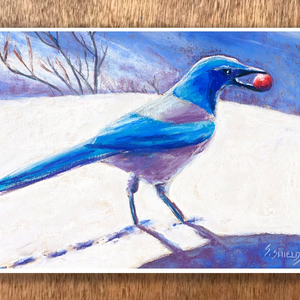 Blue Jay in Snow Holiday Card, Christmas Nature Bird Greeting Card from Original Pastel Painting, 5x7 Folding Card, Blank Inside, Scrub Jay