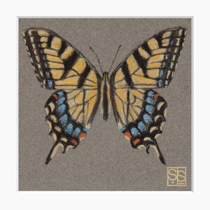 Tiger Swallowtail Butterfly Painting, Mother's Day Gift, Butterfly Art Print Giclee, Framed Matted, Gold and Black Stripe Butterfly,  8x8