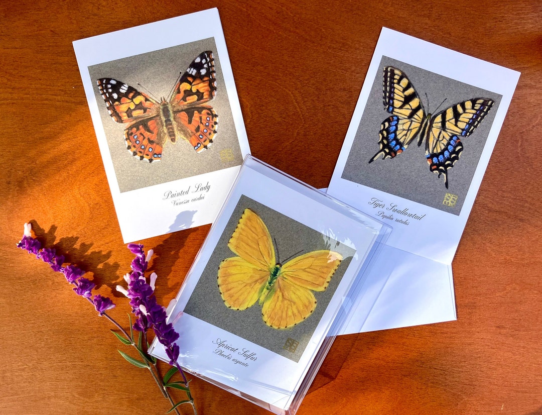Butterfly 8 Card Set, 5x7 Greeting Fine Art Prints, A7 Envelope, All ...