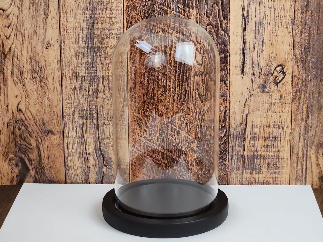 Glass Cloche Dome With Black Wood Base (7x4 Inch) - Etsy