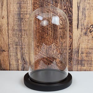 7&quot; x 4&quot; Glass dome / Cloche with Black Bases (wood), for display of treasures, keepsakes or curiosities