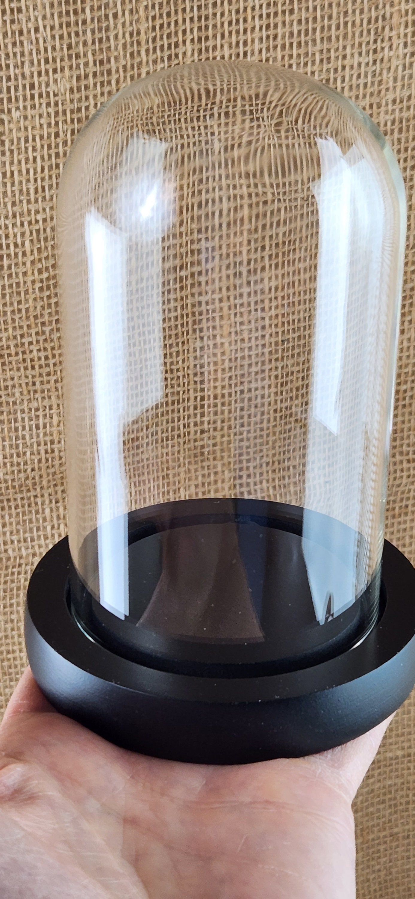 Set of TWO Glass Domes / Cloche With Black Bases wood 7cm Etsy