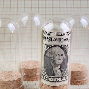 May include: Clear glass cloches with cork bases, one containing a rolled-up one-dollar bill featuring George Washington. The cloches are arranged on a grid-lined surface, creating a unique display.