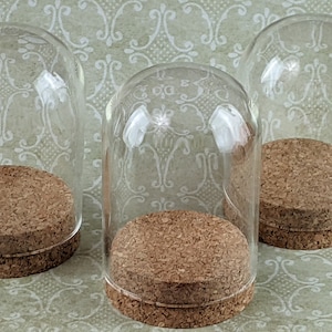 May include: Three clear glass cloche domes with cork bases. The domes are arched and sit atop round, light brown cork platforms. The background is a light green color with a repeating floral pattern.