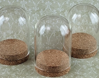 Glass Display Dome Set: 3.5" Tall Cloche with Cork Base