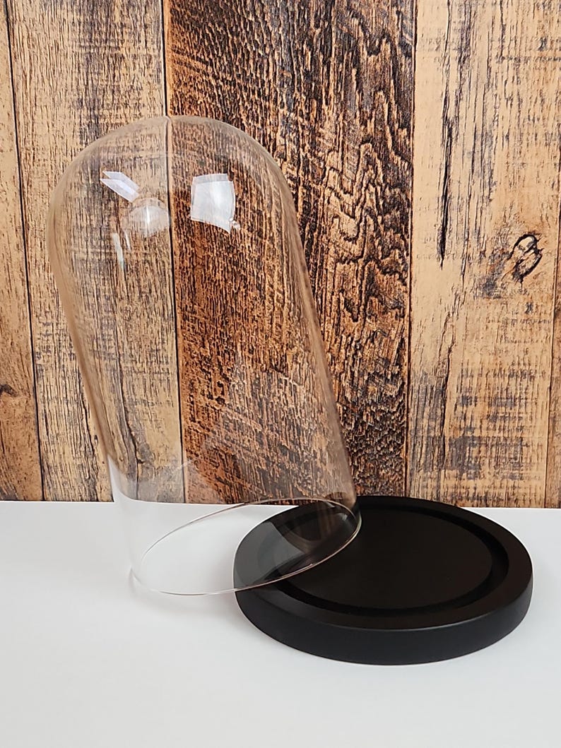 Glass Cloche Dome With Black Wood Base (7x4 Inch) - Etsy
