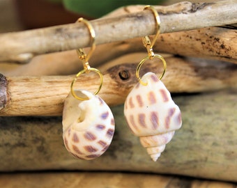 large real shell earrings | Nature | elegant