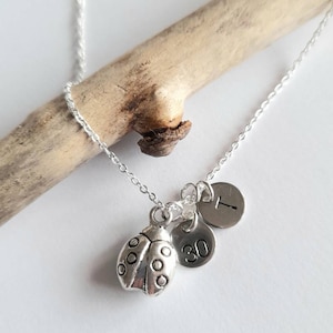 Personalized Ladybug Charm Necklace: Initial Disc, Silver Alloy