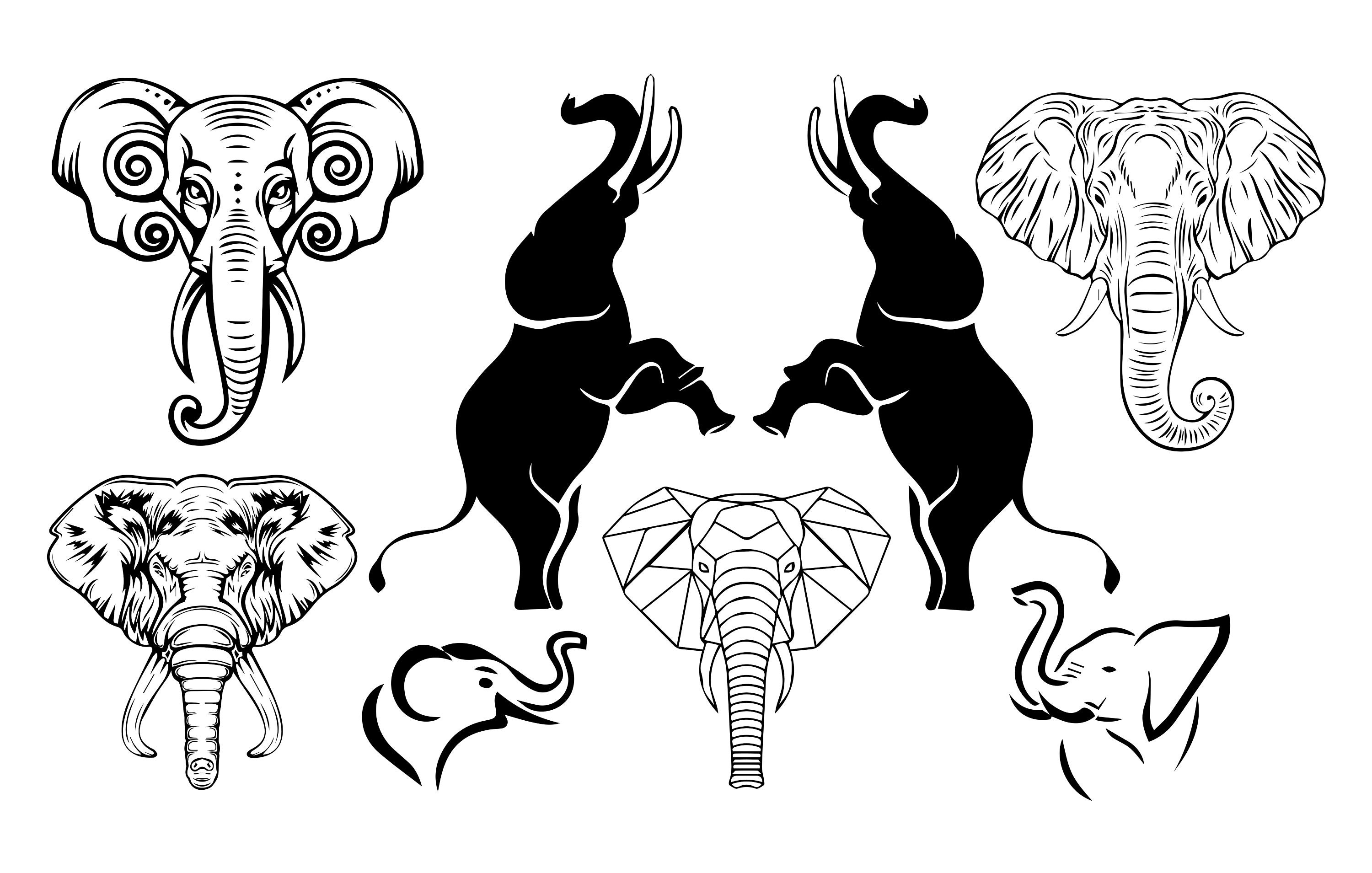 Wild Animals Bundle Animals SVG84 Wild Animals (Download Now) 