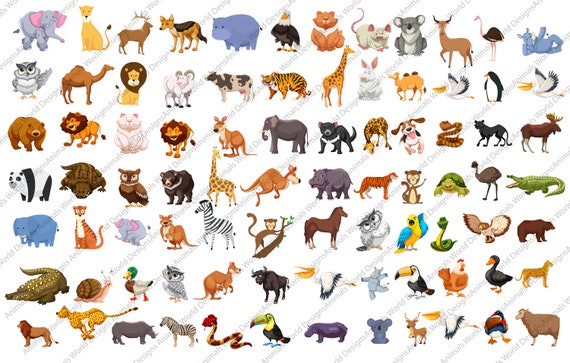 Wild Animals Bundle Animals SVG84 Wild Animals (Download Now) 