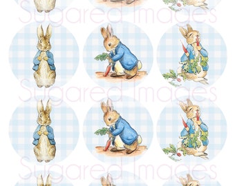 300gsm Archival Paper Peter Rabbit Art Prints SALE Giclée Art