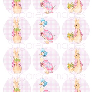 May include: Twelve round pink and white gingham patterned stickers featuring illustrations of a rabbit and a duck. The rabbit is holding a bunch of carrots and the duck is wearing a blue bonnet.