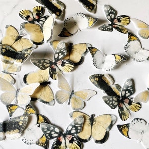 Pack of 28 Black  and Gold wafer die cut Butterflies
