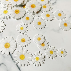 Pack of 45 assorted wafer die cut Daisies