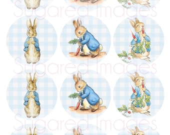 Peter Rabbit Edible Image Toppers