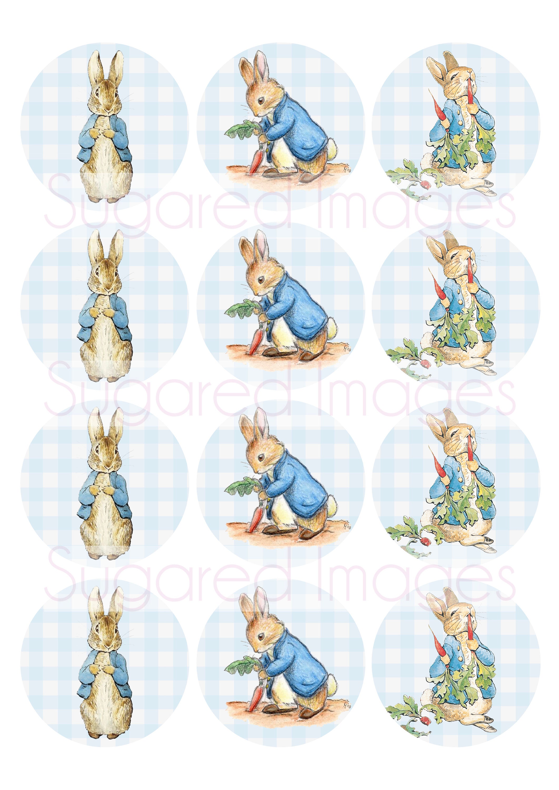 Peter Rabbit Edible Image Toppers - Etsy Australia