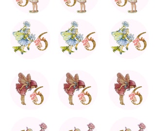 Flower Fairy Age Edible Image  Toppers