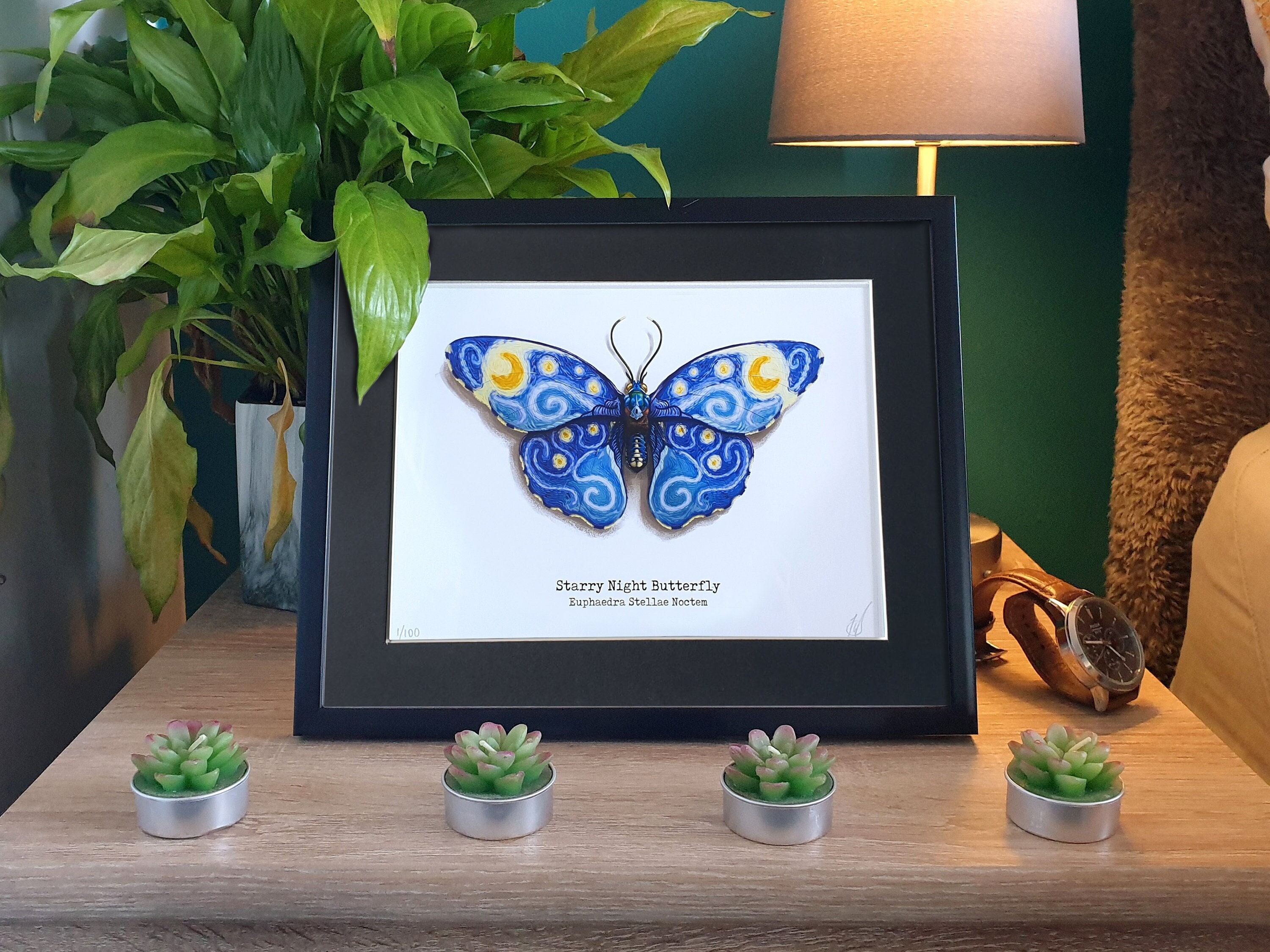 Blue butterfly★タロット Blue Butterfly's Tarot | Sydney NSW
