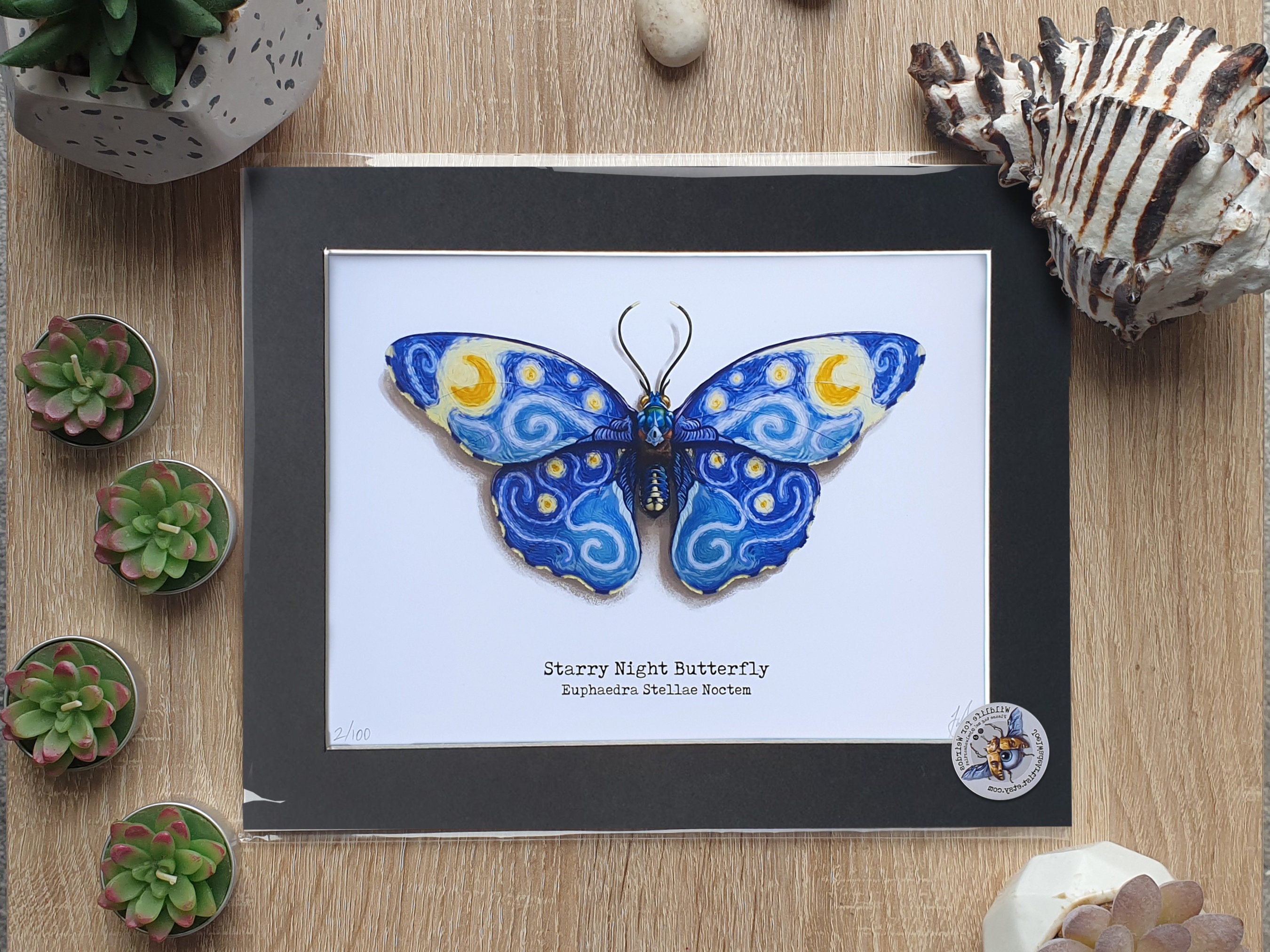 Blue butterfly★タロット Blue Butterfly's Tarot | Sydney NSW