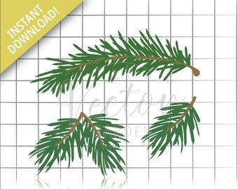 Agujas de pino Svg, Evergreen Branch Winter Greenery Navidad Plantas Pino Pino clipart Foilage Graphic Holiday Embellishment Tree Branch jpg