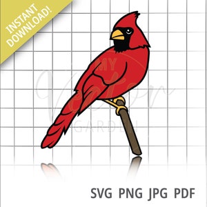 Cardinal Svg, Bird Cut File Christmas Bird Image Perched Bird jpg Loved One svg Memorial Cut file Greif Loss svg Cardinal on Branch