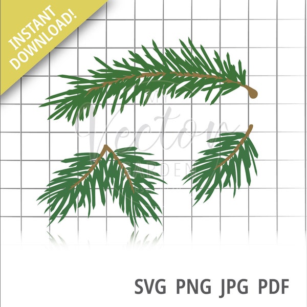 Pine Needles Svg, Evergreen Branch Winter Greenery Christmas Plants Pine Tree clipart Foilage Graphic Holiday Embellishment Tree Branch jpg