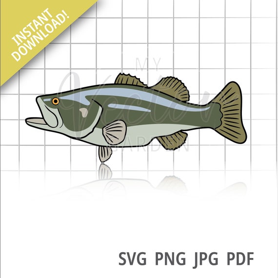 Bass Svg, Large Mouth Bass Png Fish Graphic Layered Fish Image