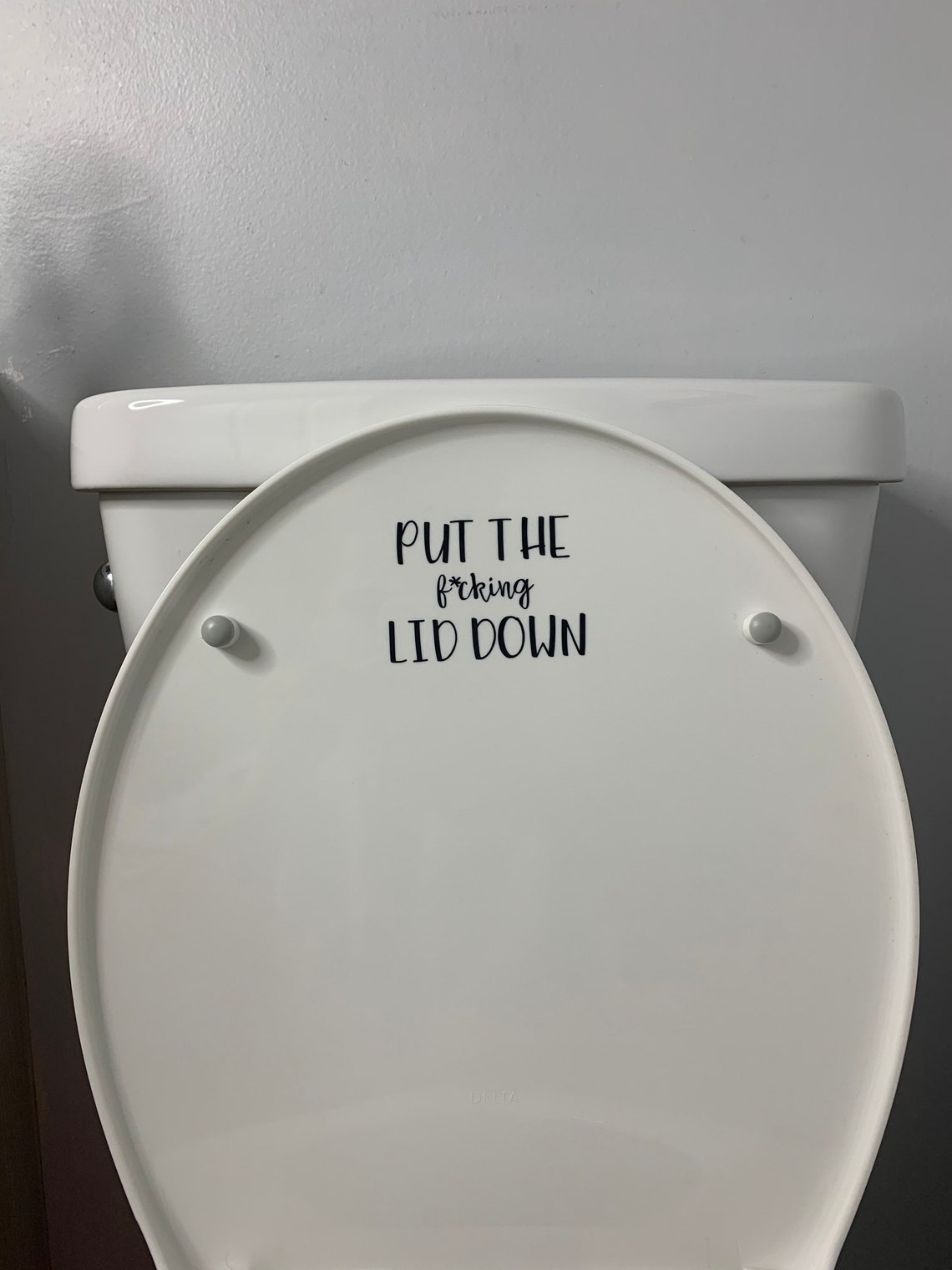 Put the Lid Down Decal Funny Boys Restroom Decor Close the Etsy