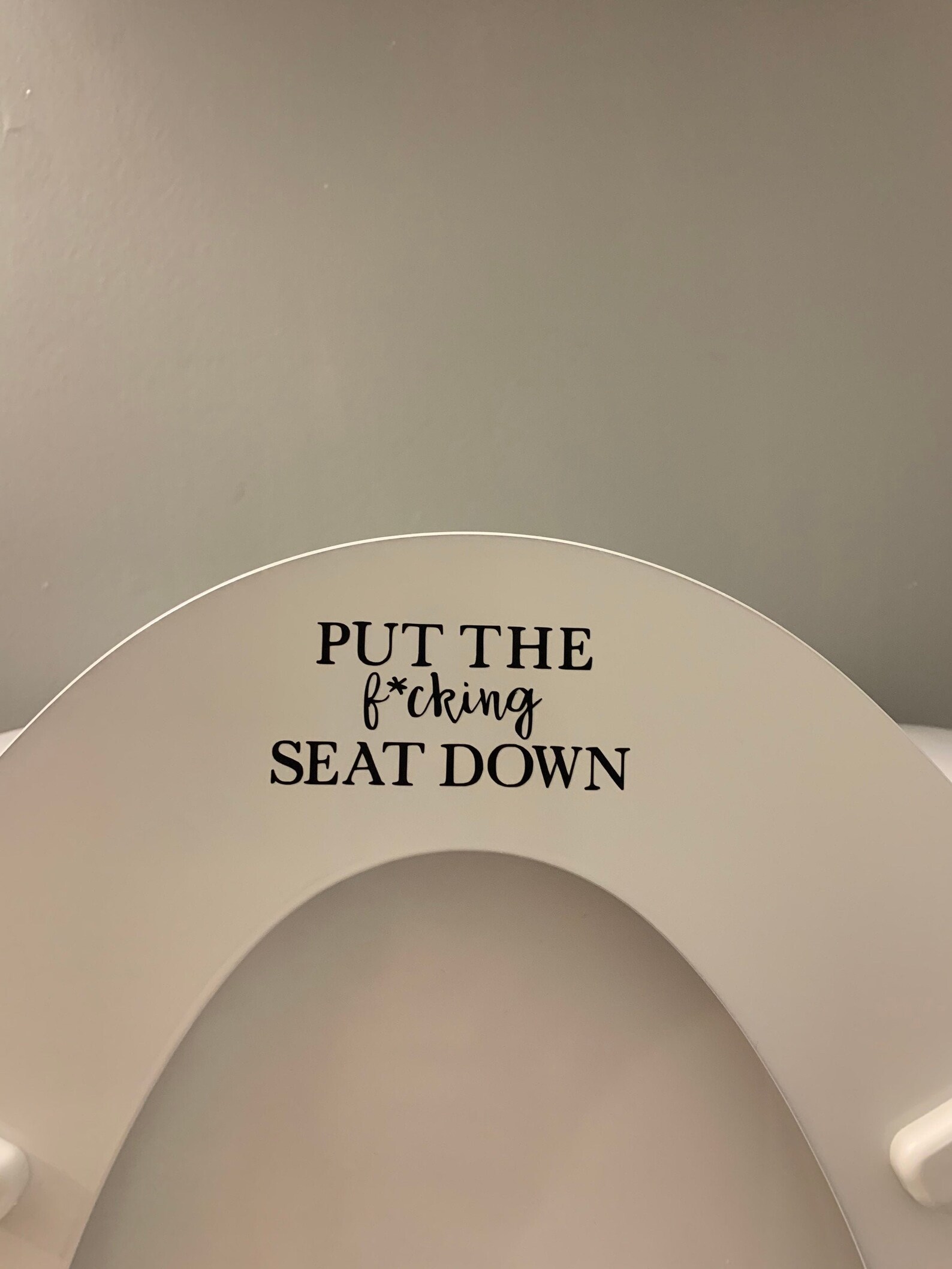 Put the F'in Seat Down Decal Funny Boys Restroom Decor Etsy