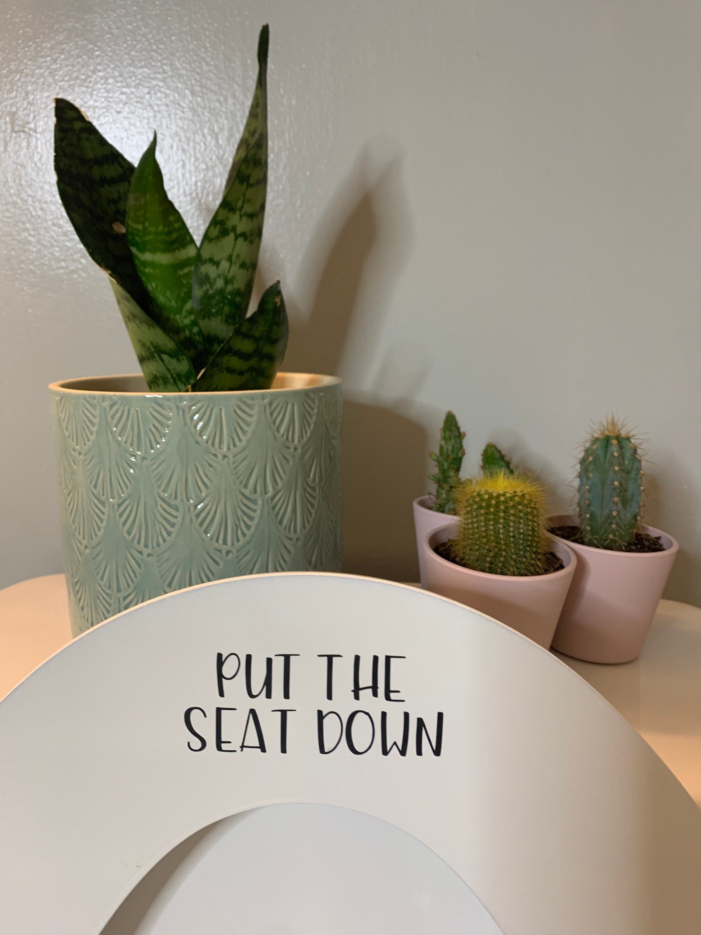 Put the Seat Down Decal Funny Boys Restroom Decor Close the Etsy
