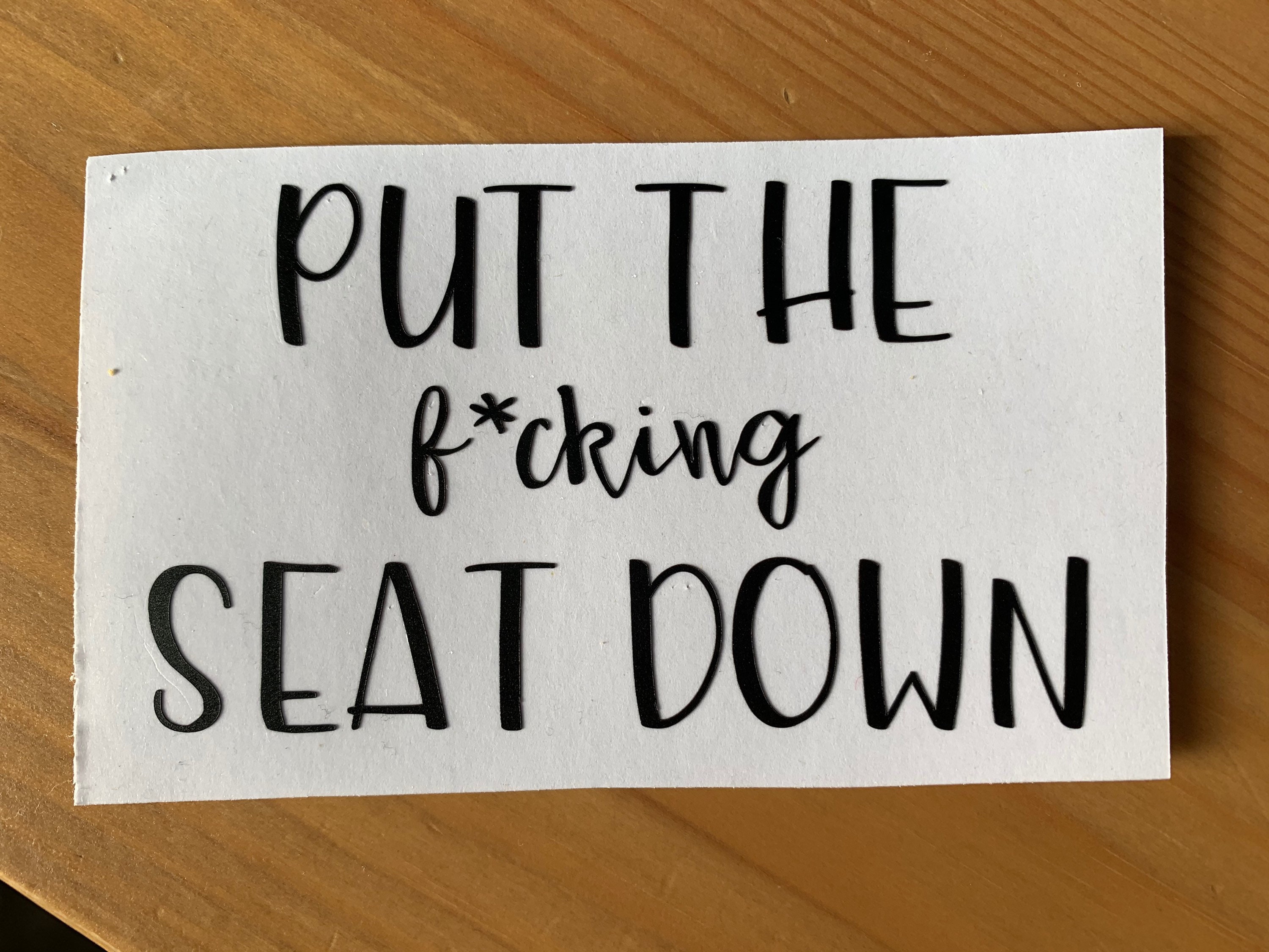 put-the-f-in-seat-down-decal-funny-boys-restroom-decor-etsy