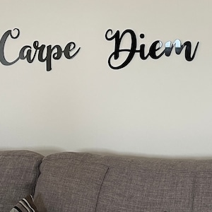 Carpe Diem,Seize the day,Latin words,Acrylic Wall Art, Acrylic Words