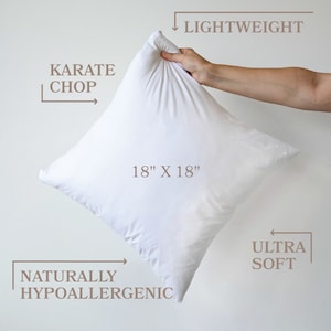 May include: White 18" x 18" pillow, lightweight, ultra soft, and naturally hypoallergenic. The pillow is being held by a hand.