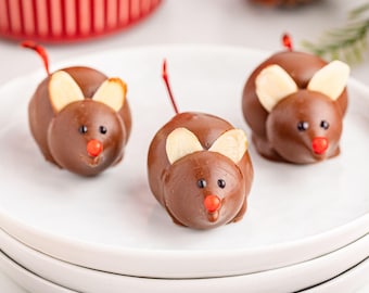 Chocolate Christmas Mice | Cute Holiday Dessert Recipe PDF | Chocolate Covered Cherries | Edible Gift Idea