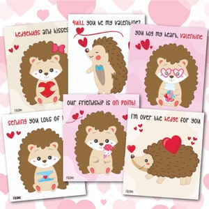 Ouriço Valentines, Conjunto de sala de aula de ouriço Valentine