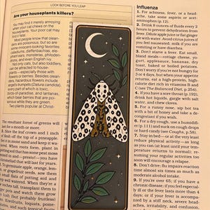May include: A decorative bookmark featuring a moth design with a crescent moon and stars. The moth has a cream-colored body with black spots and is set against a dark background with green foliage.