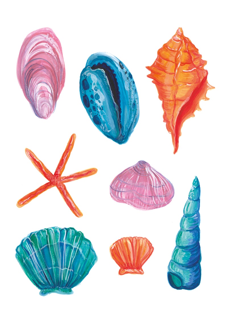 Seaside Shells Art Print A4 210x297 mm immagine 2