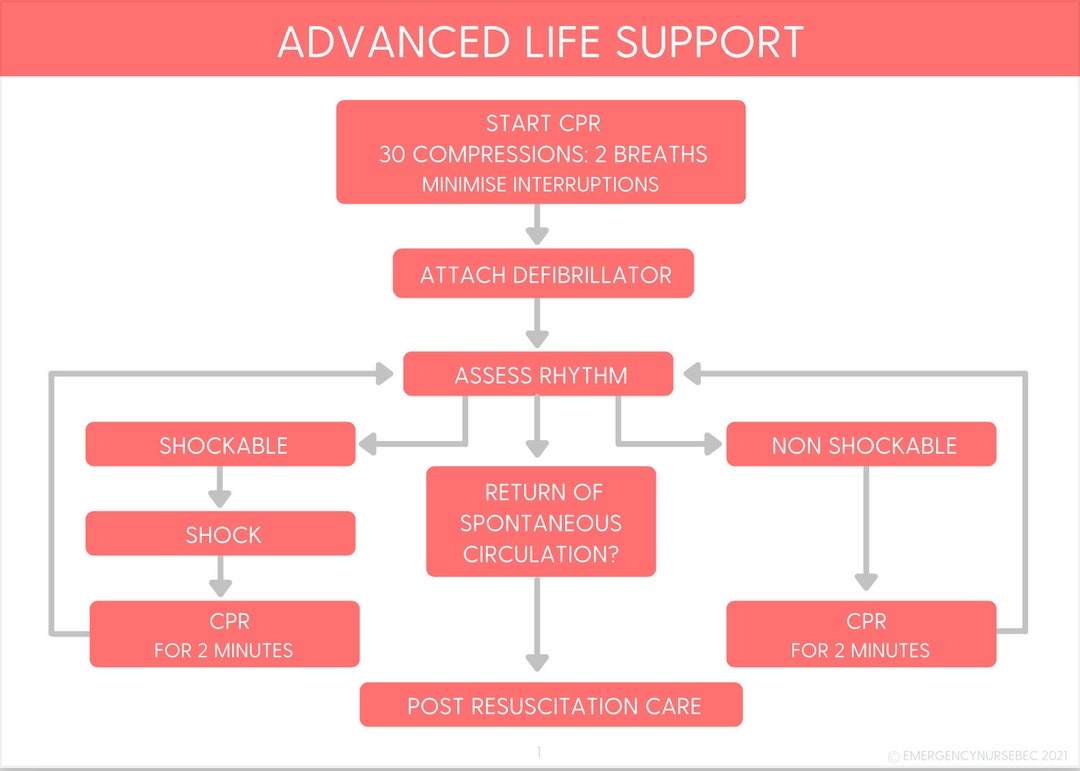 Advanced Life Support Study Cards - Etsy