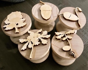 Lifecycle of a Maple Tree Wooden Playdough Stampers| Playdough Stamps | Playdough Tools | Fine Motor Skills | Waldorf Montessori
