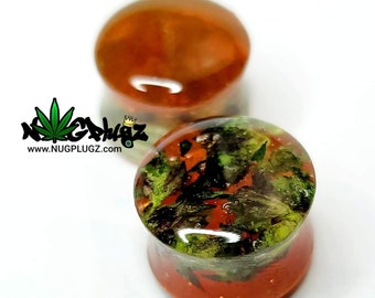 Orange Plugs, Orange Gauges, UV Orange, Double Flare, Glow-in-dark, Cannabis Plugs, Weed in Resin, Marijuana Jewelry