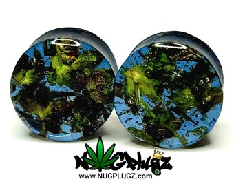 Sapphire Blue Plugs, Dark Blue Gauges, UV Blue, Double Flare, Glow-in-dark, Cannabis Plugs, Weed in Resin, Marijuana Jewelry