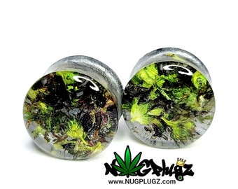 Silver Plugs, Gunmetal Gauges, Platinum Stretchers, Grey Double Flare, Glow-in-dark, Cannabis Plugs, Weed in Resin, Marijuana Jewelry